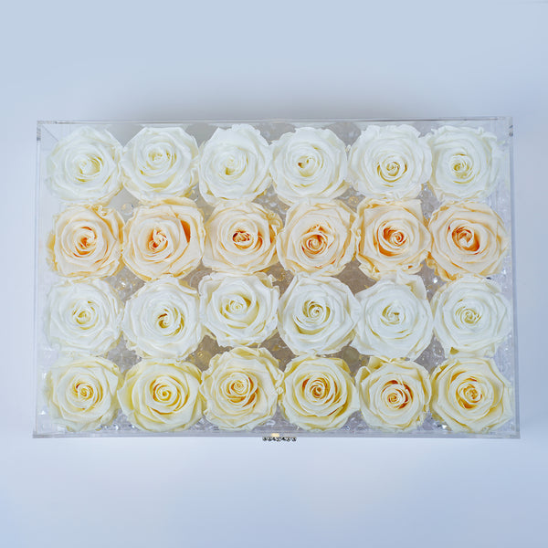 24 Rose Square - Soft White, Butter and Cream Rose palette. Jadorit