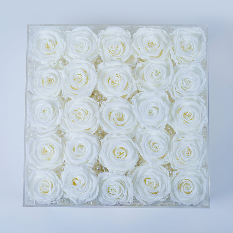 25 Rose Stem - Snow White Roses Jadorit