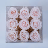 9 Rose Stem- Light Pink Roses Jadorit