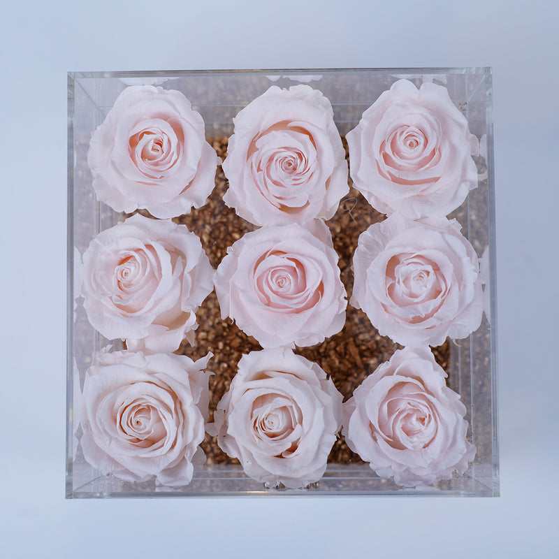 9 Rose Stem- Light Pink Roses Jadorit