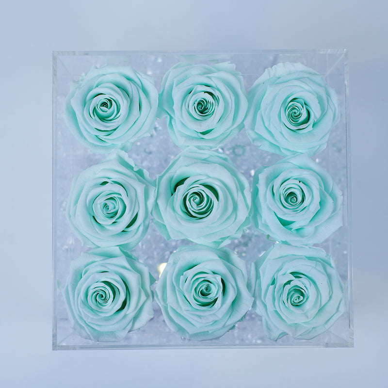 9 Rose Stem- Tiffany Blue Roses Jadorit