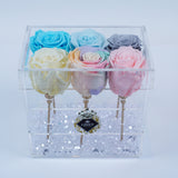 6 Rose Stem - Cotton Candy Roses Jadorit