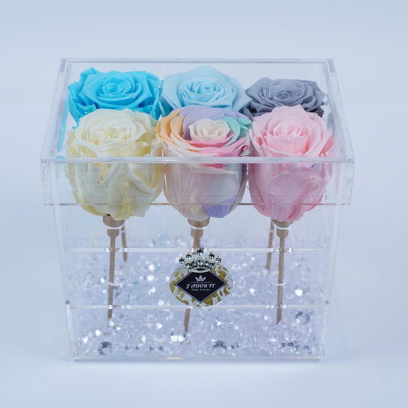 6 Rose Stem - Cotton Candy Roses Jadorit