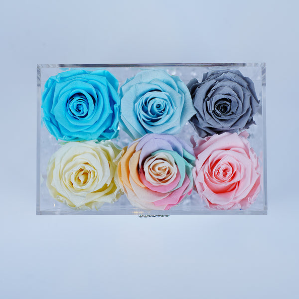 6 Rose Stem - Cotton Candy Roses Jadorit