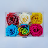 6 Rose Square with Drawer - Carnival Roses Jadorit