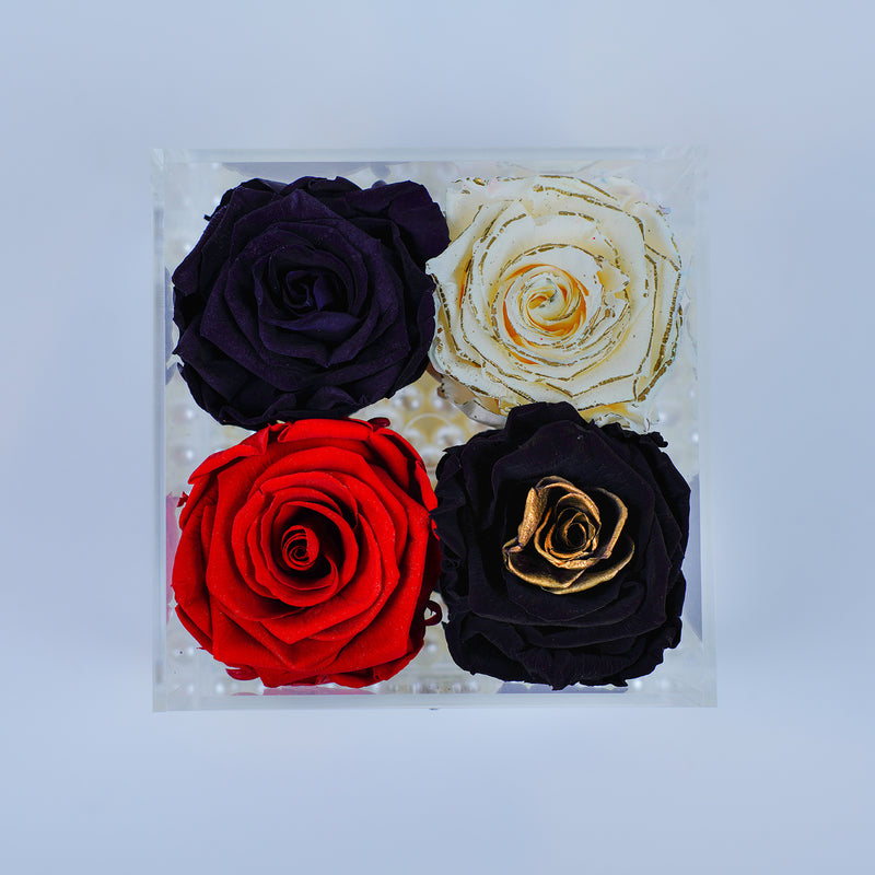 4 Rose Square - Red Heart, Black Beauty, Crème with Gold Jadorit