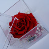 Single Deluxe Jumbo Red Rose Jadorit