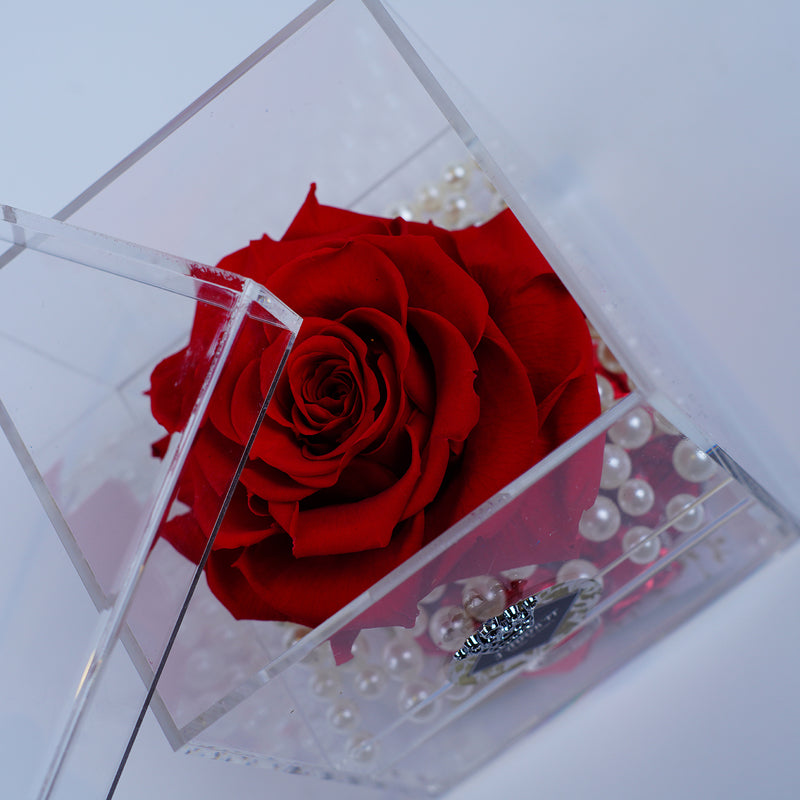 Single Deluxe Jumbo Red Rose Jadorit