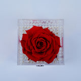 Single Deluxe Jumbo Red Rose Jadorit