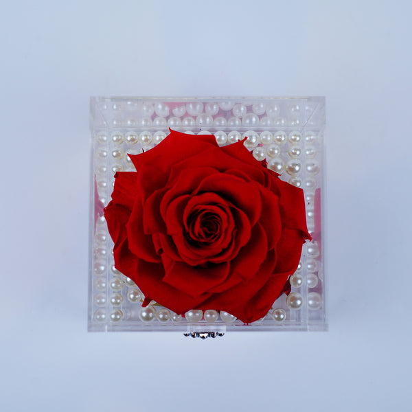 Single Deluxe Jumbo Red Rose Jadorit