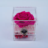 Single Deluxe Jumbo Fuchsia Rose Jadorit