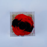 Single Deluxe Jumbo Red Rose Jadorit