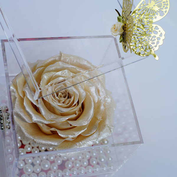 Single Deluxe Jumbo Champagne Pearl Rose Jadorit