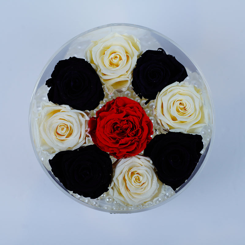 8 Rose Round - Crème, Black Beauty and Red Garden Rose Jadorit