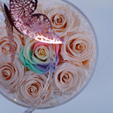 8 Rose Round with Drawer - Light pink with Rainbow Center Jadorit