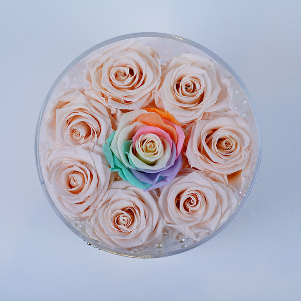 8 Rose Round with Drawer - Light pink with Rainbow Center Jadorit