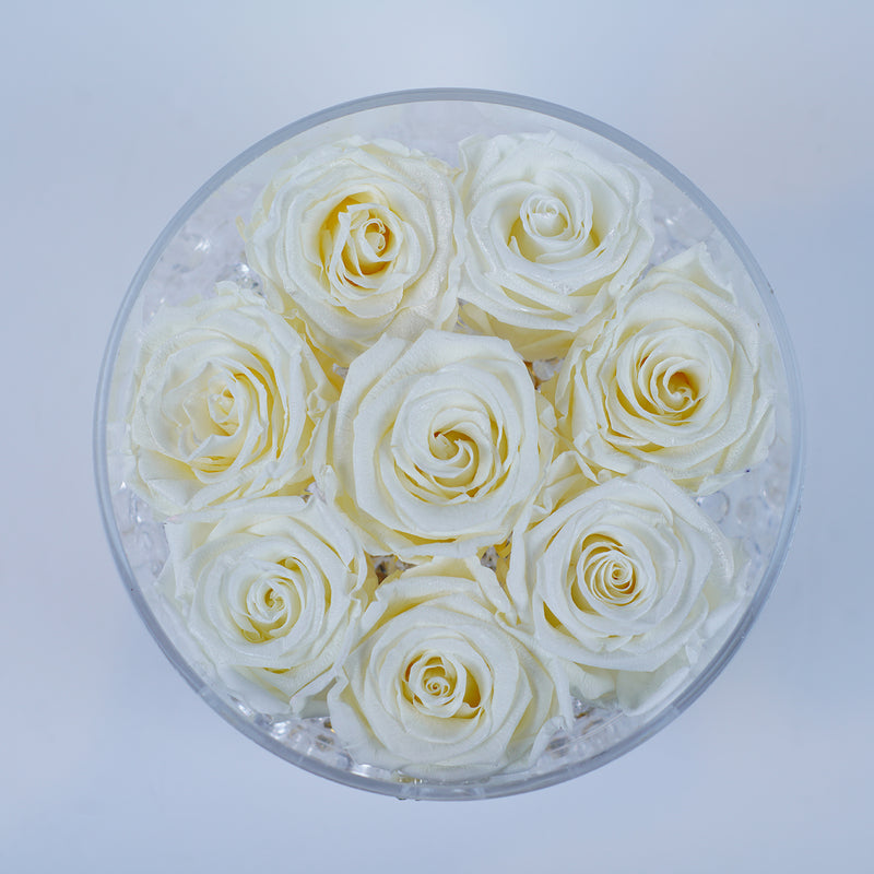 8 Rose Round with Drawer - Deluxe Winter White Roses Jadorit