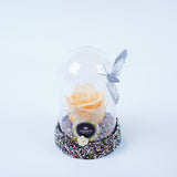 Single Rose Dome - Sunset Rose Jadorit