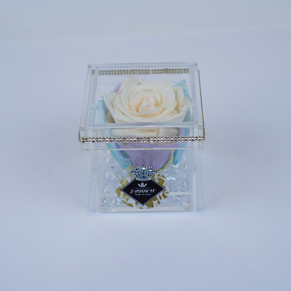 Single Rose Square - Cream Pastel Rose Jadorit