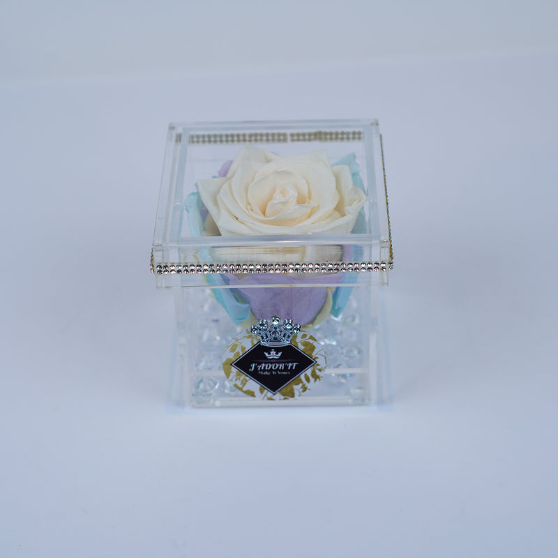 Single Rose Square - Cream Pastel Rose Jadorit