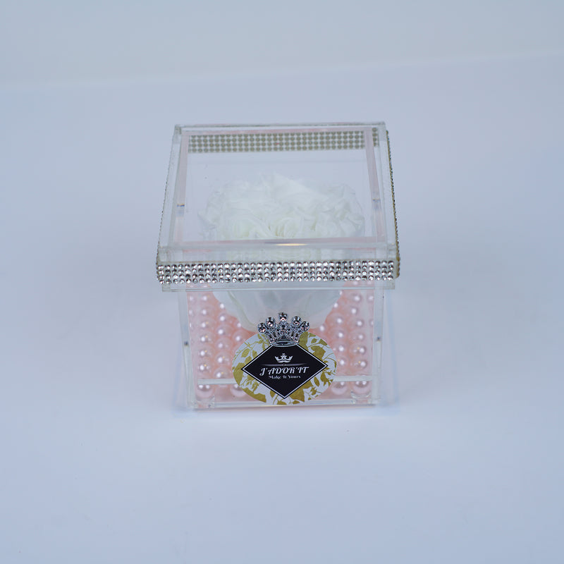 Single Rose Square - Deluxe White Garden Rose Jadorit