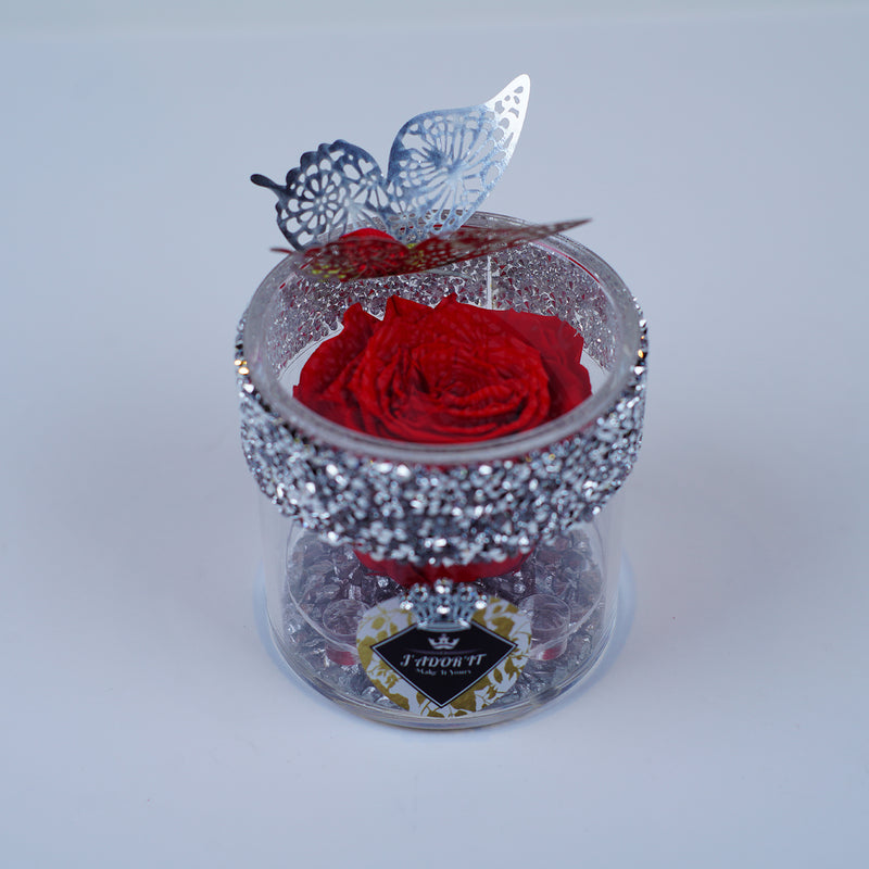 Single Rose Round - Deluxe Red Garden Rose Jadorit