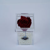 Single Rose Square Stem - Red Sparkle Rose Jadorit