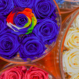 8 Rose Round with Drawer - Royal Blue Roses with Rainbow Rose Center Jadorit