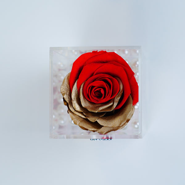 Single Rose Square with Drawer - Red with Gold Leaf Rose Jadorit