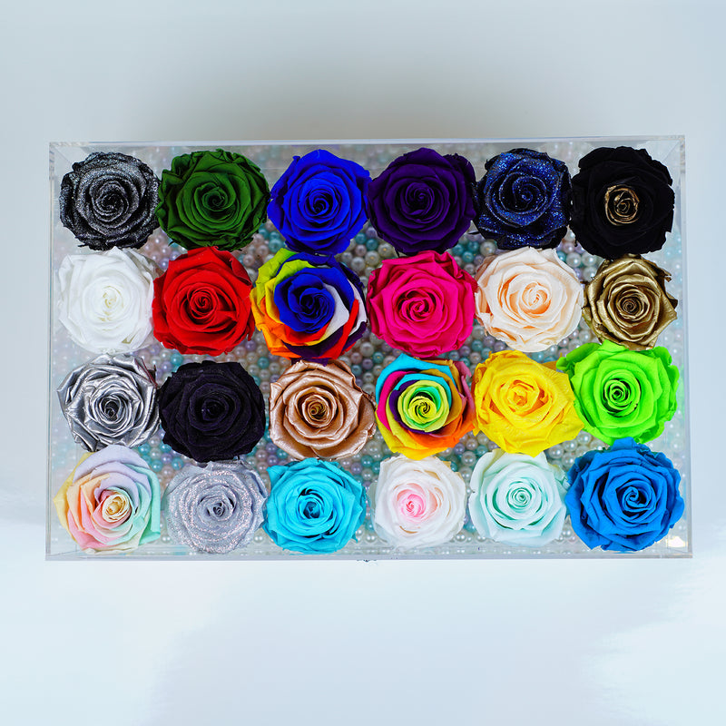 24 Rose Stem - Rainbow of Roses Jaodirt