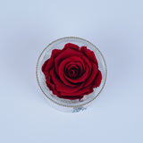 Single Rose Round - Red Heart Rose Jadorit