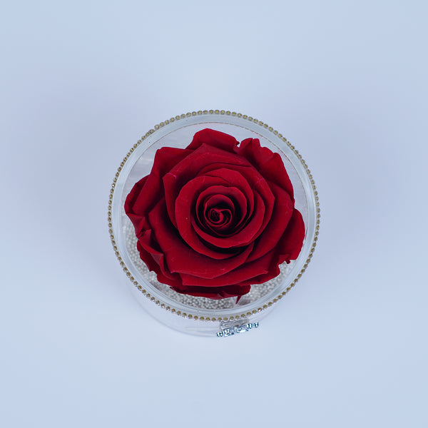 Single Rose Round - Red Heart Rose Jadorit