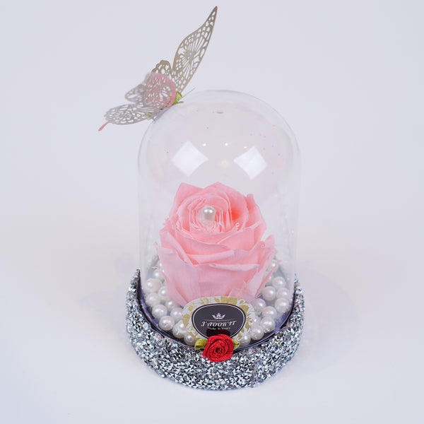 Single Rose Dome - Bubble Gum Pink Rose Jadorit