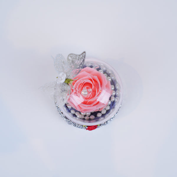 Single Rose Dome - Bubble Gum Pink Rose Jadorit