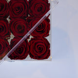 16 Rose Stem - Regal Red Roses Jadorit