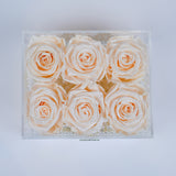 6 Rose Square - Champagne Peach Roses Jadorit