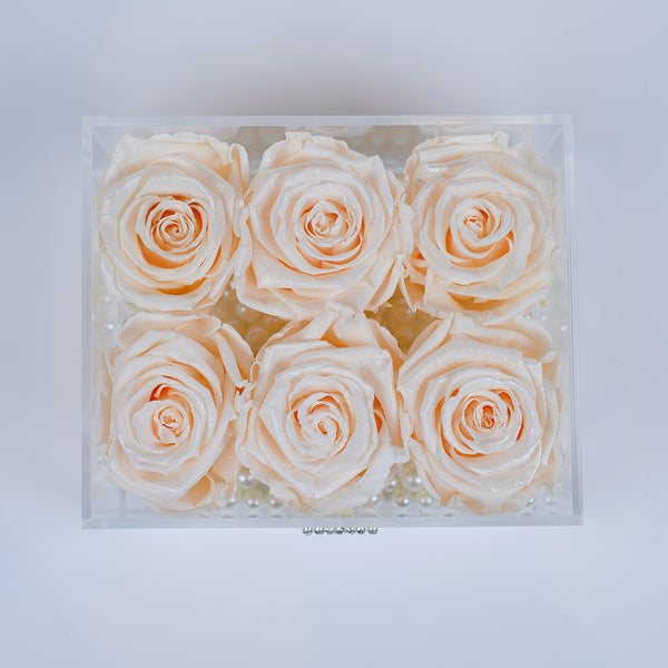 6 Rose Square - Champagne Peach Roses Jadorit