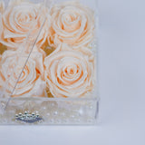 6 Rose Square - Champagne Peach Roses Jadorit