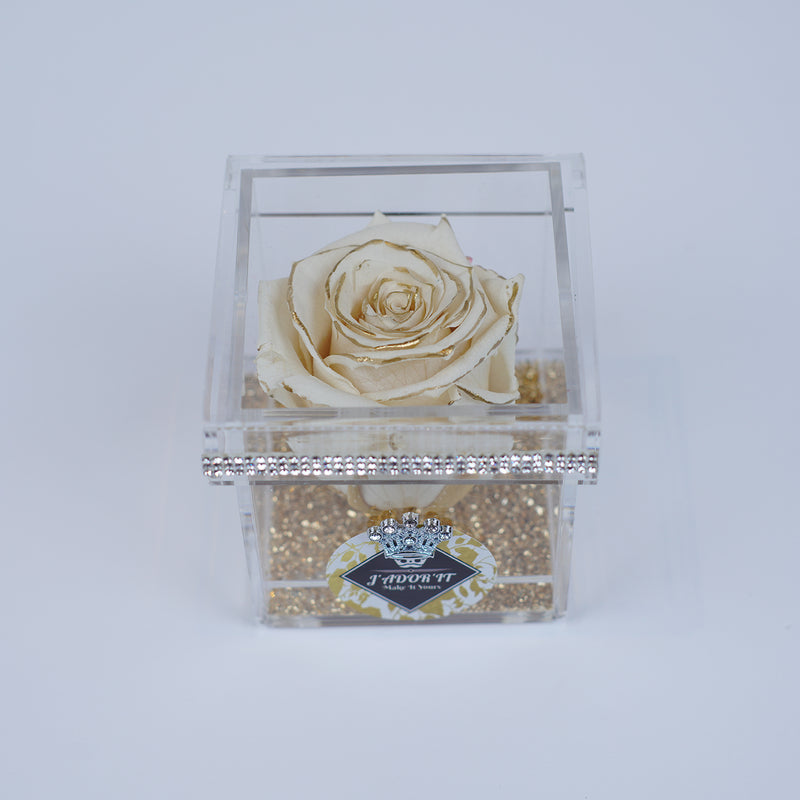 Single Rose Square - Crème Gold Rose Jadorit