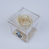 Single Rose Square - Crème Gold Rose Jadorit