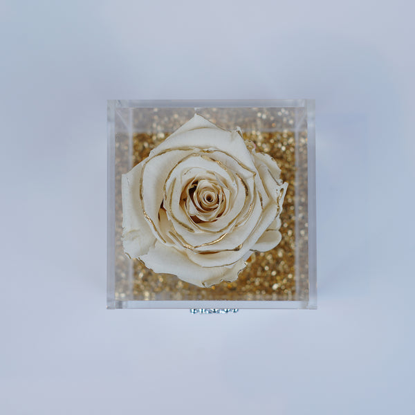 Single Rose Square - Crème Gold Rose Jadorit