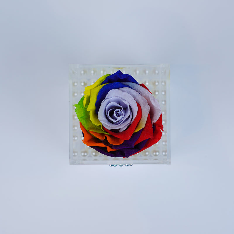 Single Rose Square with Drawer - Rainbow Rose Jadorit