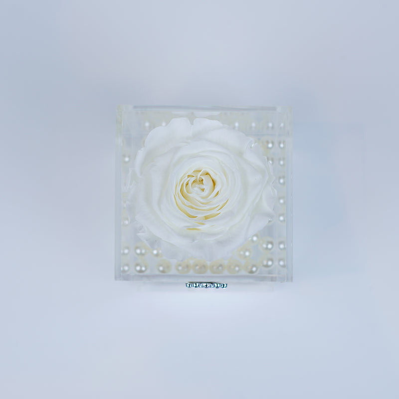 Single Rose Square with Drawer - Winter White Rose Jadorit