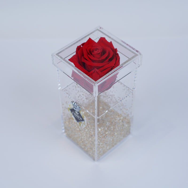 Single Rose Square Stem - Red Deluxe Sparkle Rose Jadorit