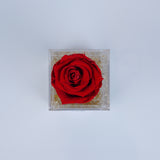 Single Rose Square Stem - Red Deluxe Sparkle Rose Jadorit