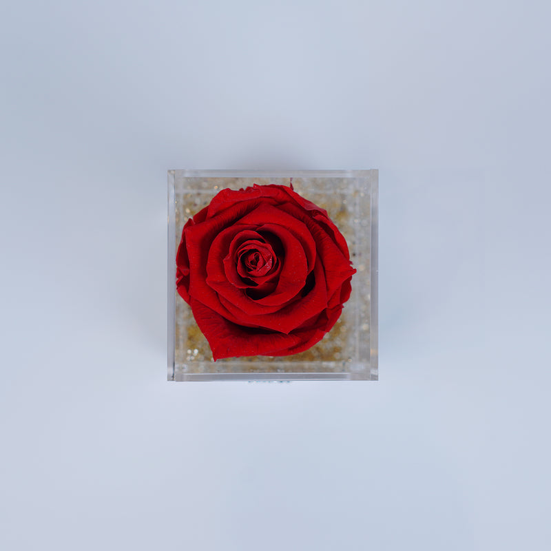 Single Rose Square Stem - Red Deluxe Sparkle Rose Jadorit