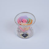 Single Rose Round - Shimmering Pastel Rainbow Rose Jadorit