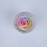 Single Rose Round - Shimmering Pastel Rainbow Rose Jadorit