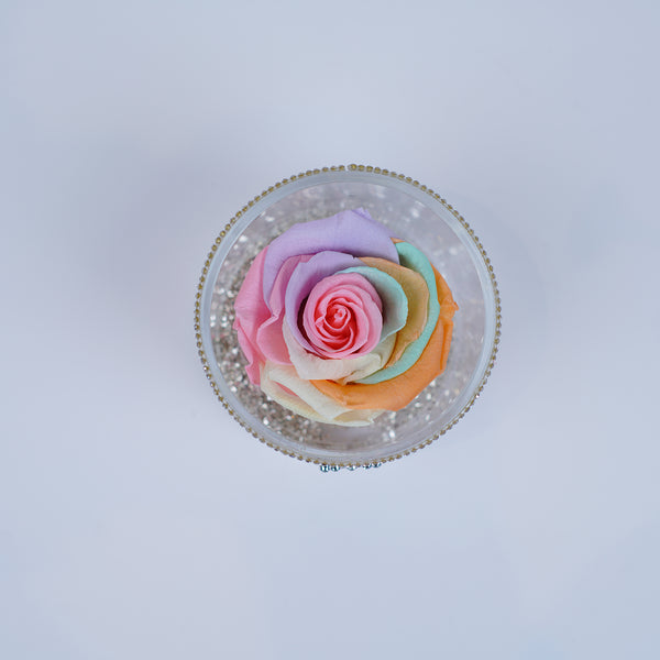 Single Rose Round - Shimmering Pastel Rainbow Rose Jadorit