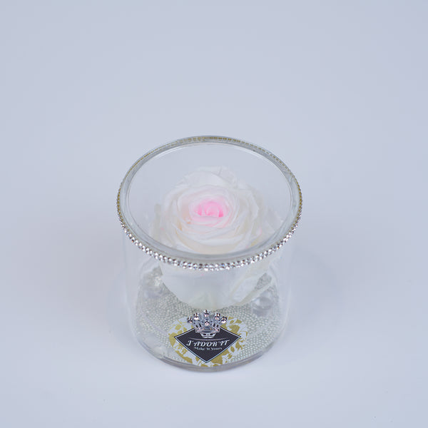 Single Rose Round - White Rose with Pink Highlight Jadorit